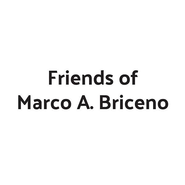 MarcoBriceno logo linked to MarcoBriceno website