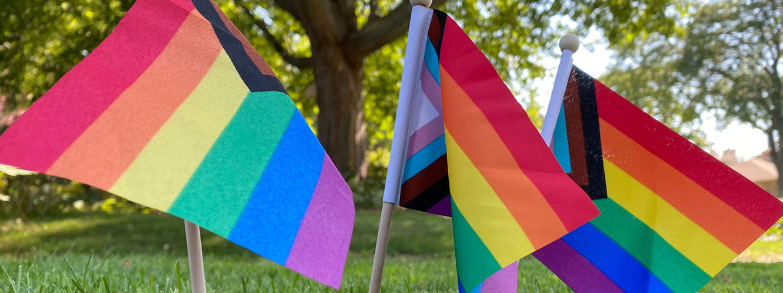 Pride Flags